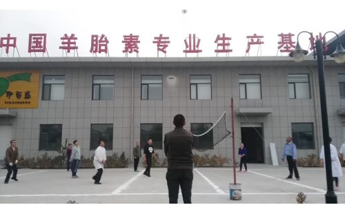 排球傳溫情，員工齊聚心