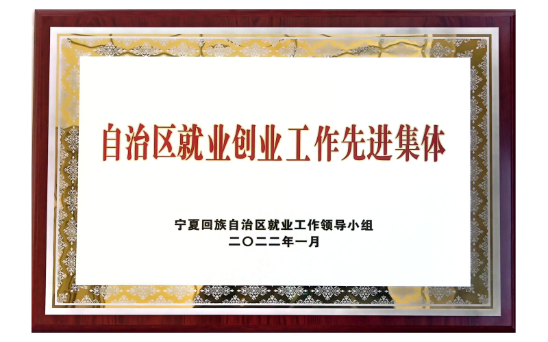 自治區(qū)就業(yè)創(chuàng)業(yè)工作先進(jìn)集體